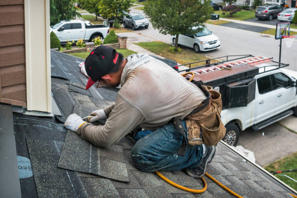 Professional Storm Damage Roof Repair technician working in Pierz, MN